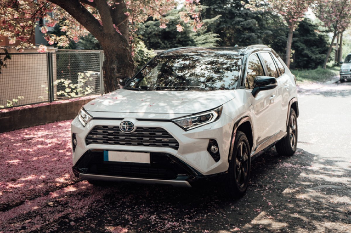    Toyota RAV4