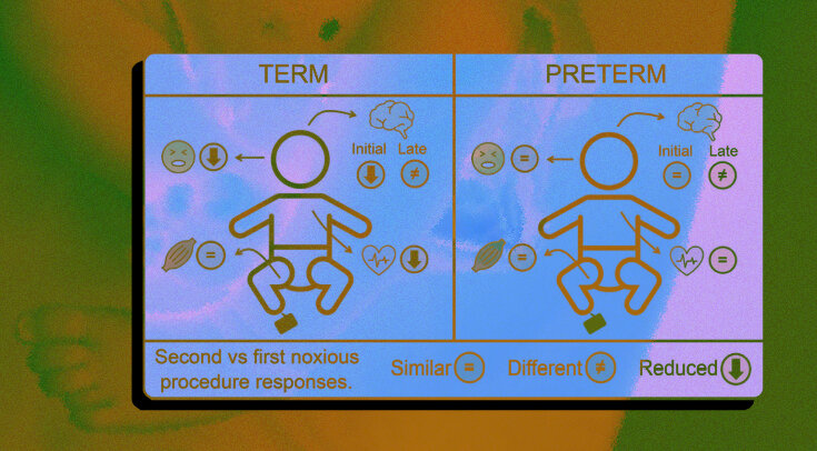   N + 1; Lorenzo Fabrizi et al. / Current Biology, 2023