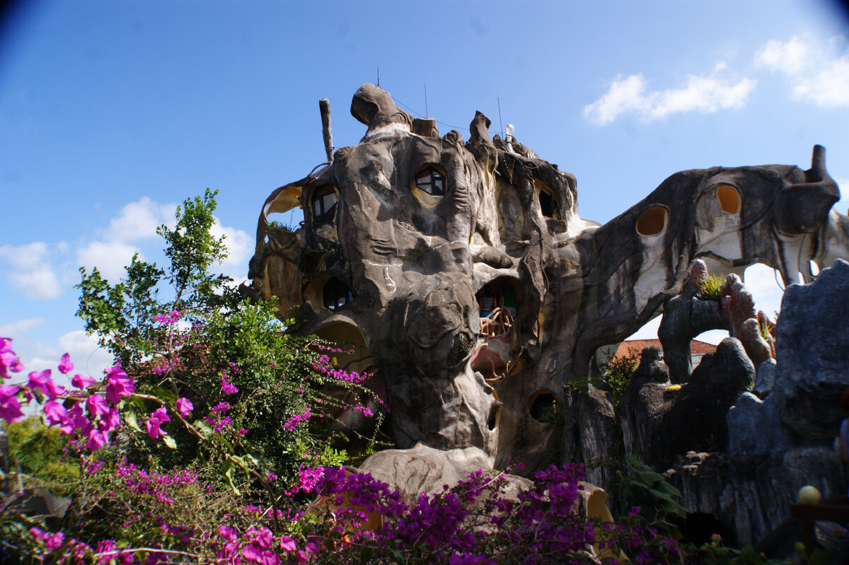 «Сумасшедший дом» во Вьетнаме