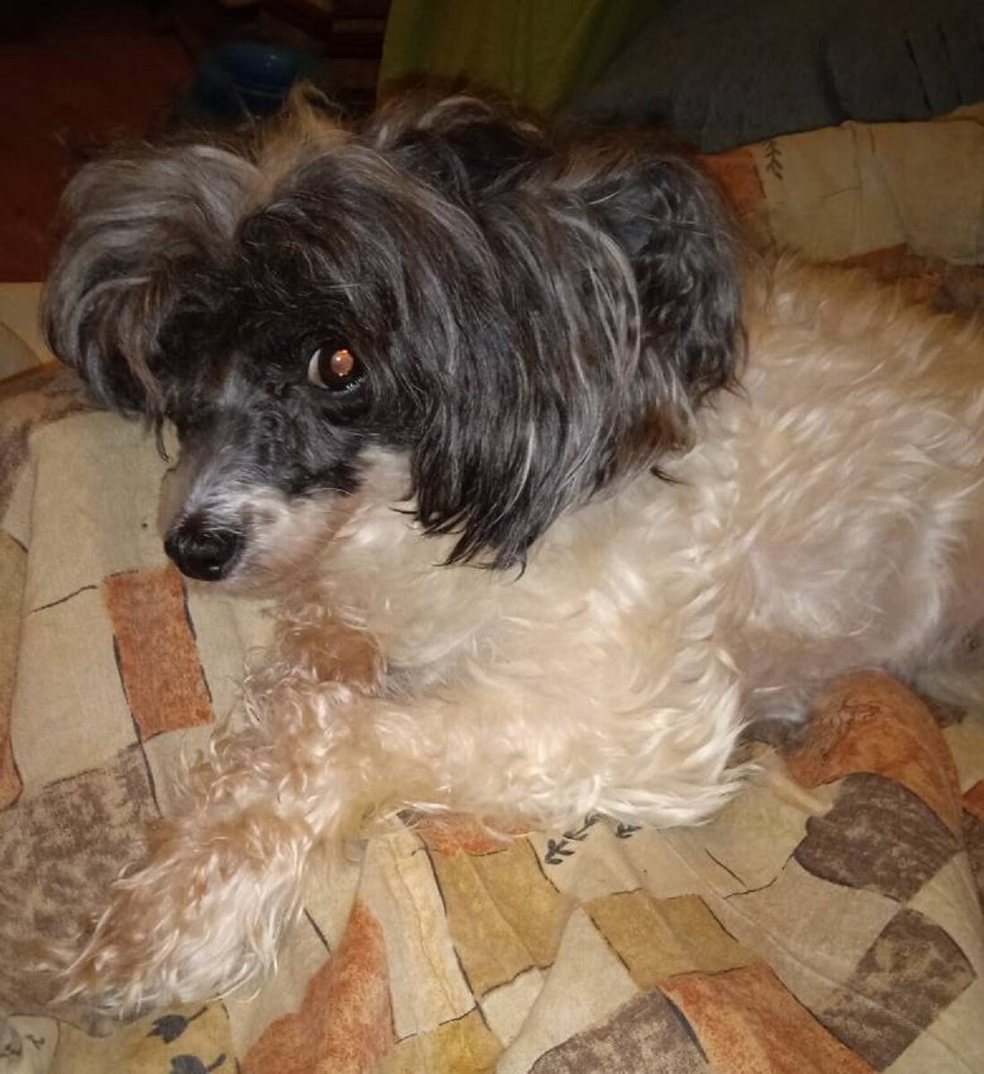 Глазки строит даже на фото! Вылитая Чиччолина))))