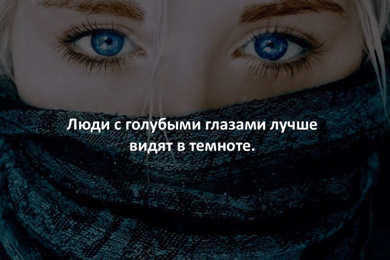 Какие глаза лучше видят. Цитаты про глаза. Красивые высказывания про глаза. Цитаты про красивые глаза. Цитаты про голубые глаза.