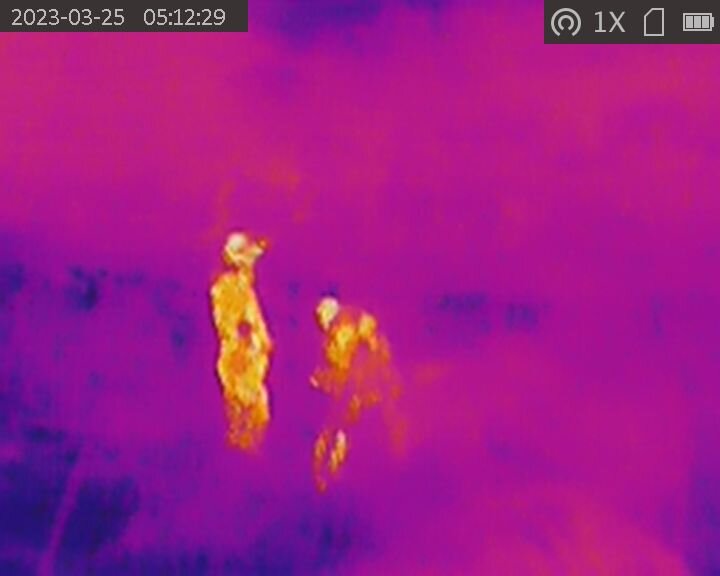 Жека и Серёга