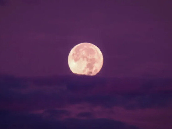     Фото: unsplash.com