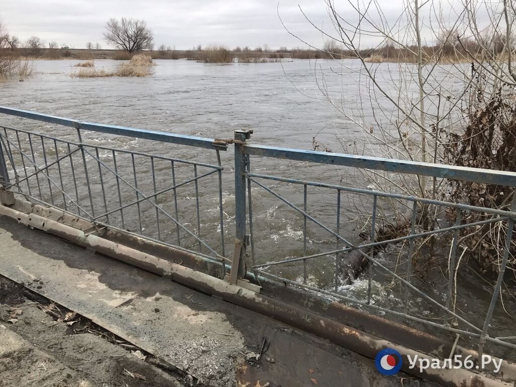 Уровень воды в реке урал сегодня. Река Орь в Орске. Мост. Оренбург мост. Орск мост.