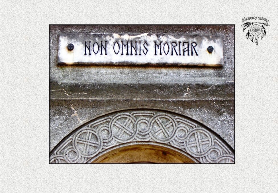 Мёртвые языки: ничто не исчезает бесследно | Ловец слов | Дзен