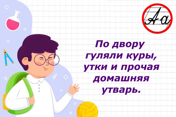 Коллаж из изображений Freepik