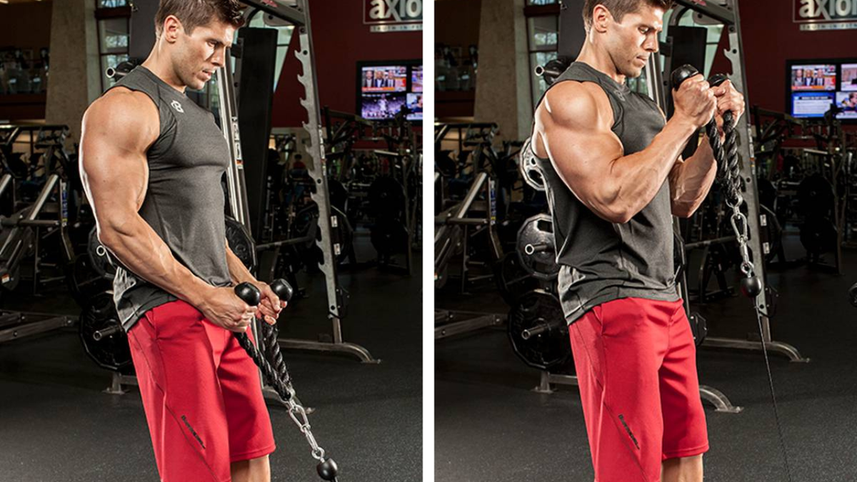 Блок тренировок. Брахиалис Ван Дамм. Молот брахиалис. Подъем на бицепс в блочном тренажере стоя. Тяга Нижнего блока на бицепс в кроссовере.