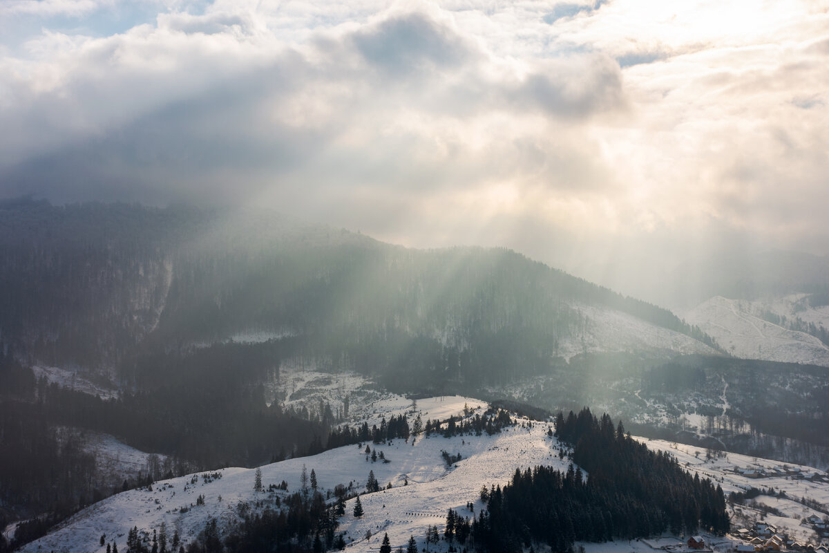 Источник фото: shutterstock