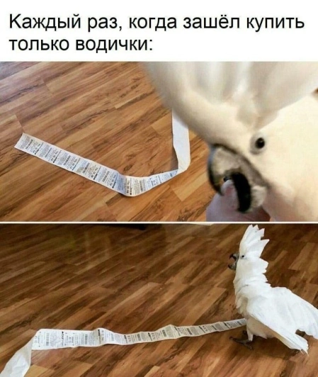 Импульсивные покупки