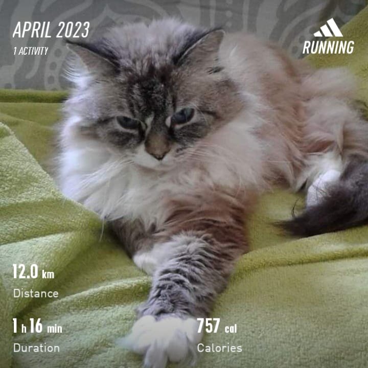 Архив автора. 