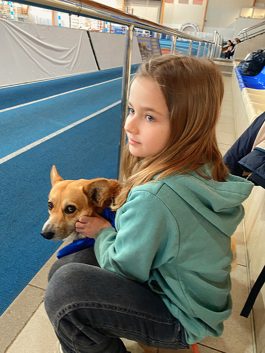 Покрытие не для корги