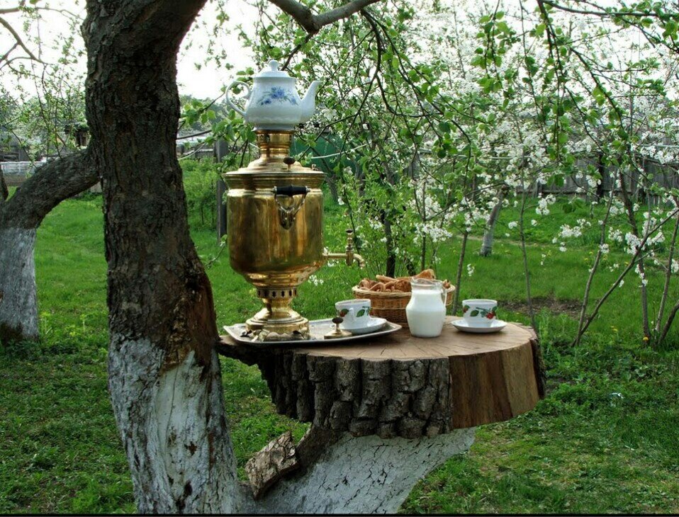 Чай во дворе.