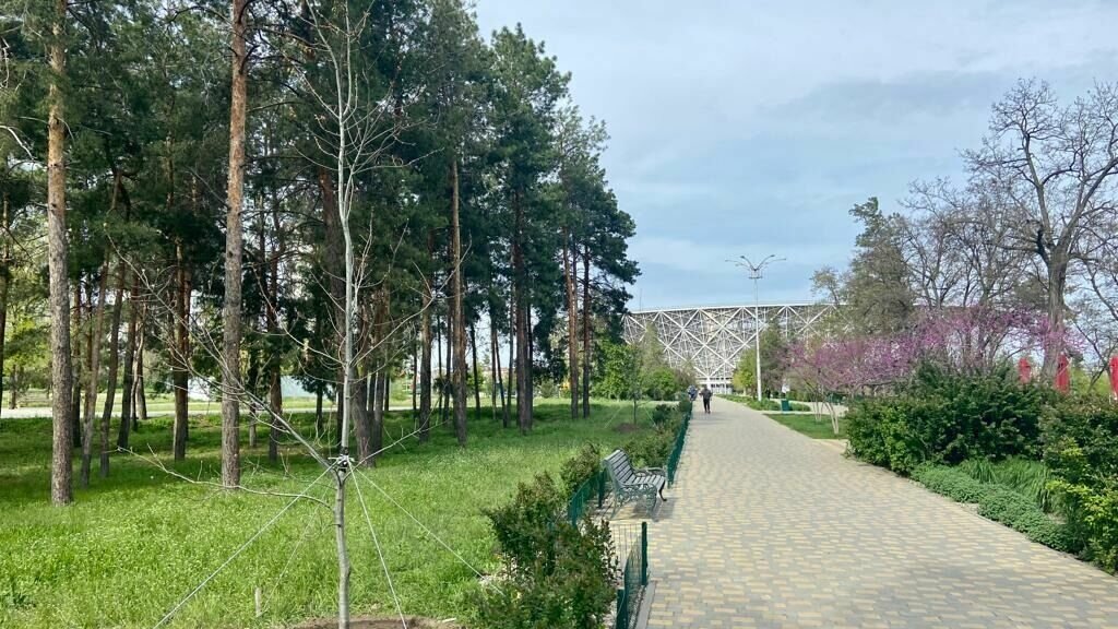 Blossom волгоград. Советский парк. Волгоград парк. Парк ЦПКИО Волгоград. В парке.