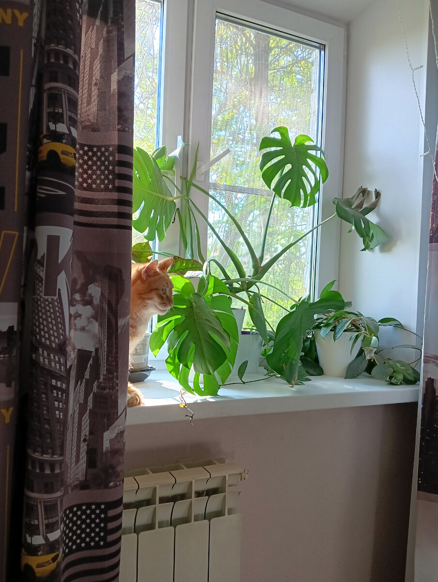 Василий очень наблюдателен