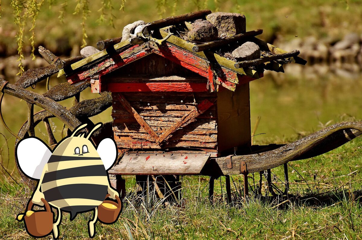 Как заселять рой в улей