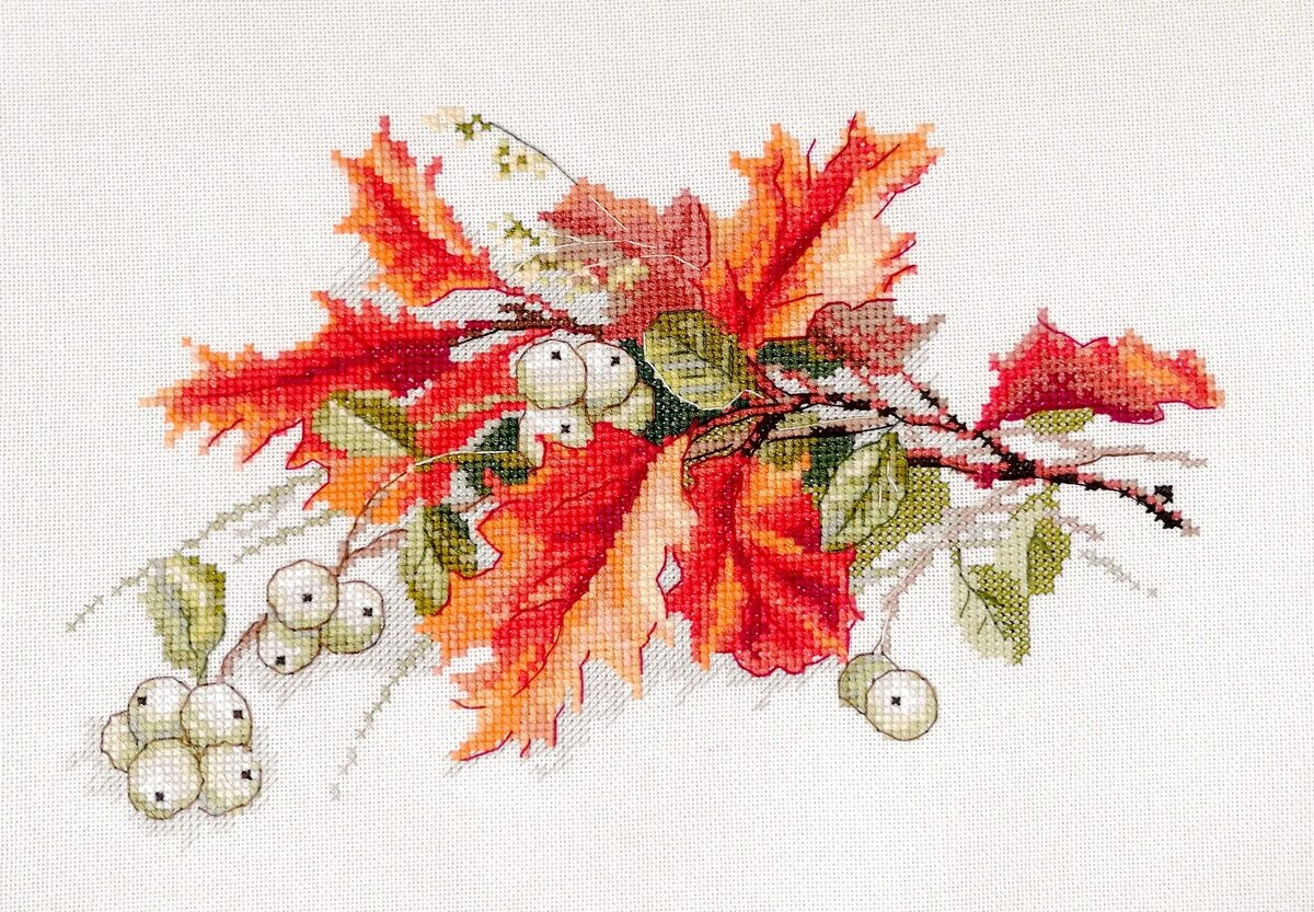 04.009.14 «Снежная ягода» 