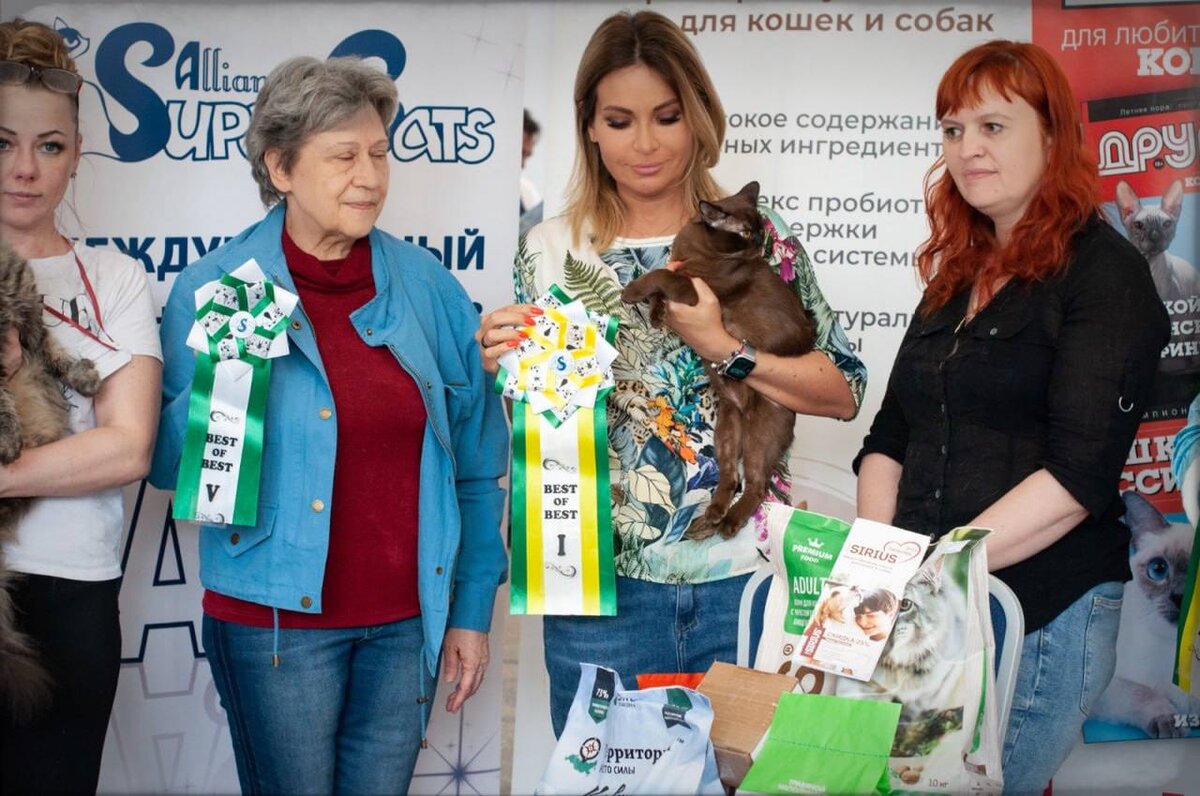 Jasper Burmese cats - Lakesh Freya Way - ex.1, NOM BIS, BIS JUNIOR, BEST IN CATEGORY, BOB I