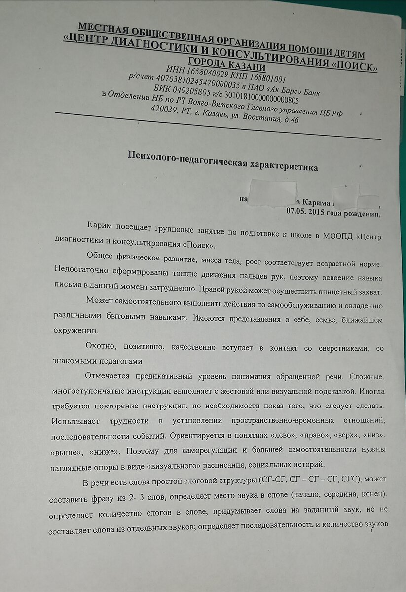 Хождение по мукам или как устроить ребёнка с аутизмом в школу? Часть 2. |  Катюша Блогер | Дзен