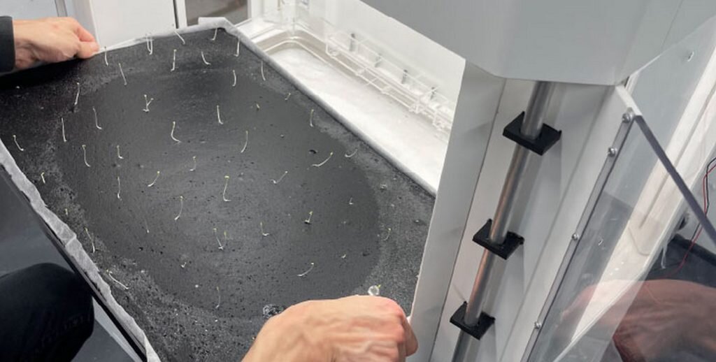   Фото: aehinnovativehydrogel.com