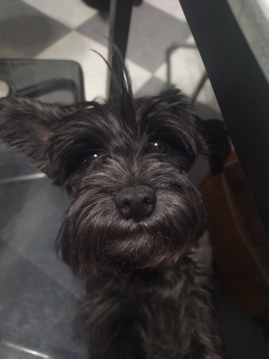 "Я могу быть очень миленькой!"