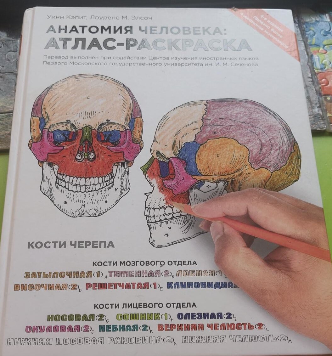 Анатомия стресса. Или, всё же, СТРАХА? Убираем своими руками | здрава с Александром Крыгиным | Дзен