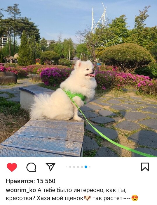 Фотография взята из *рама певца.  