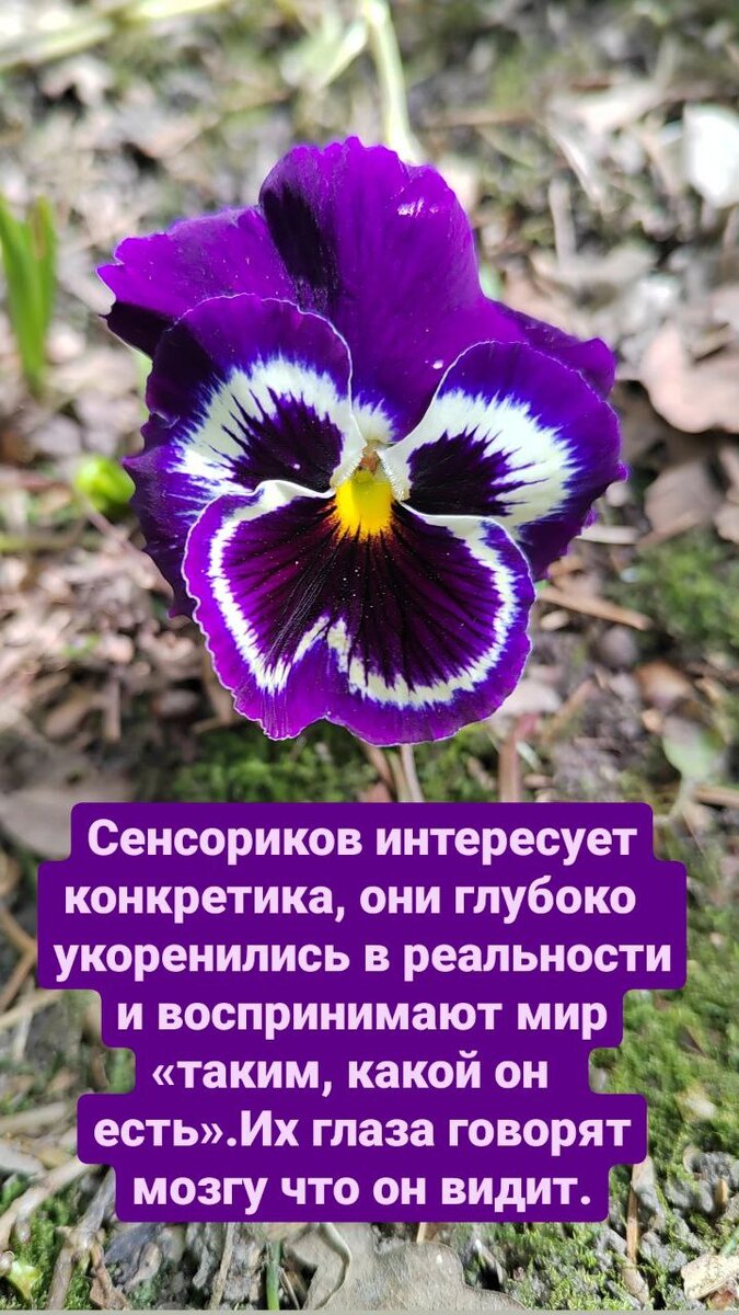 О сенсориках