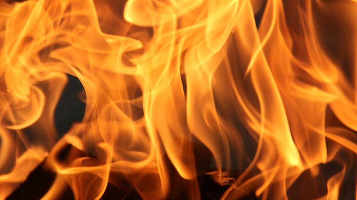    Фото: BÜNYAMİN GÖRÜNMEZ / Unsplash Август Макаров