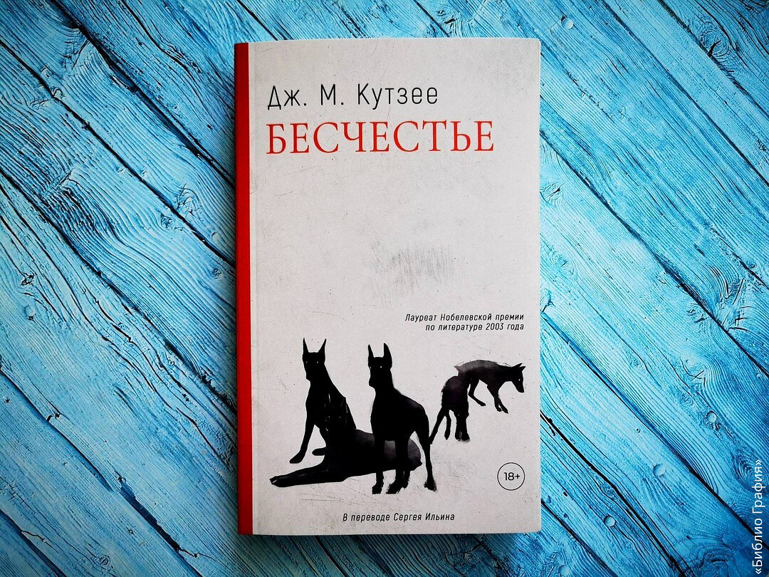 Бесчестье книга