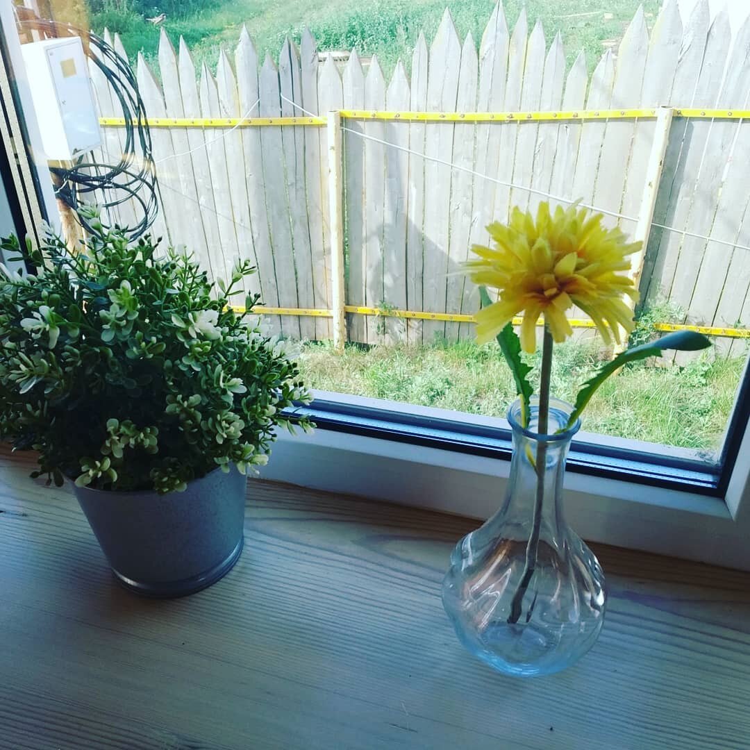 Утро понедельника тоже может быть добрым!