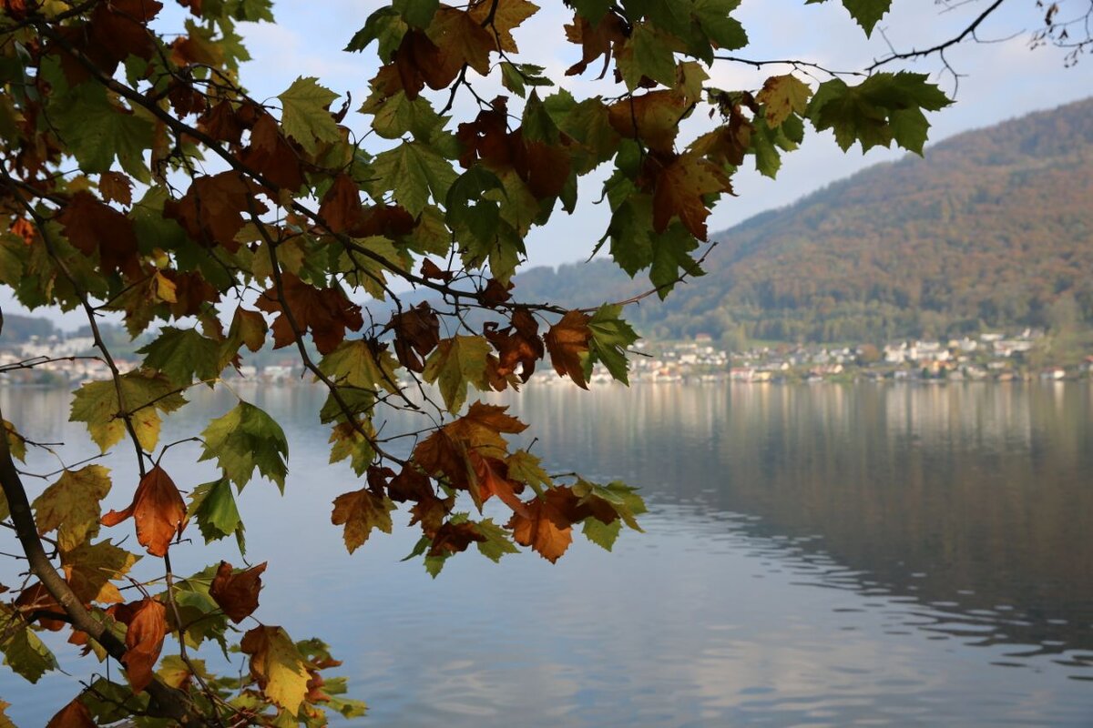 Фото принадлежит автору канала.