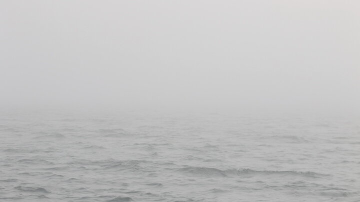 ФОТО: MAKSIM KONSTANTINOV/GLOBALLOOKPRESS