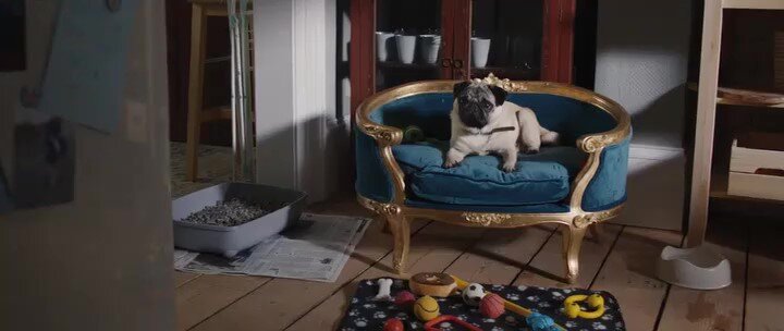 Кадр из фильма "Патрик"