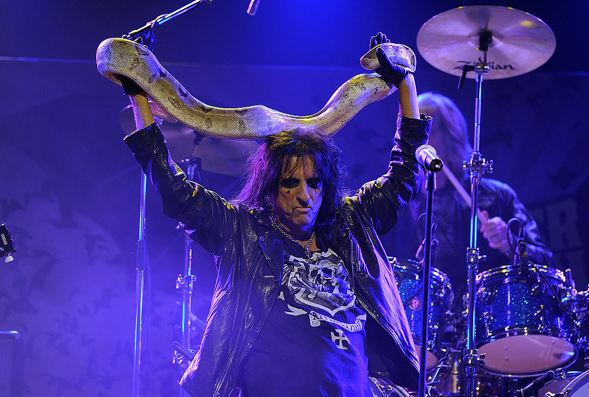 Alice Cooper. Alice Cooper группа. Рок музыканты Элиса Купера. Элис Купер (Alice Cooper.