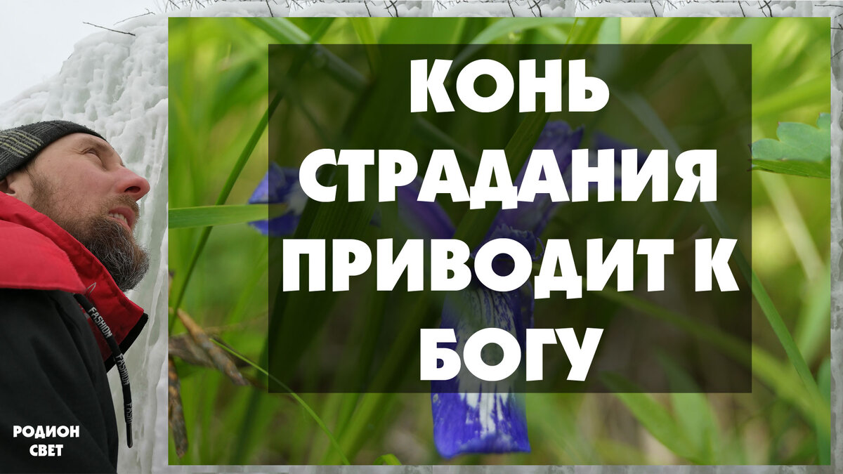 конь страдания всегда приводит к БОГу