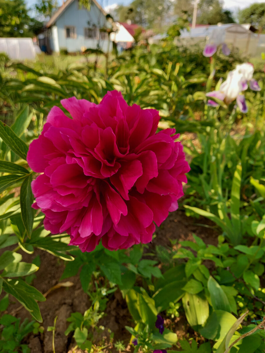 Фото мое