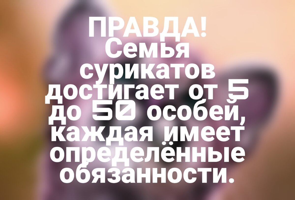 -2-2