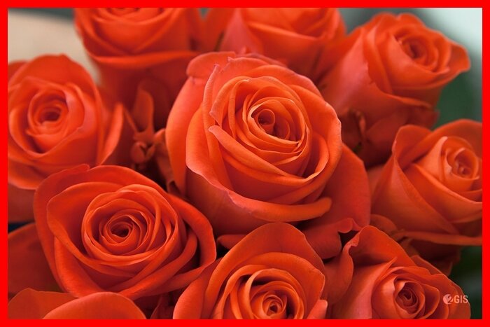   У канала сегодня день рождения- первый год работы позади.