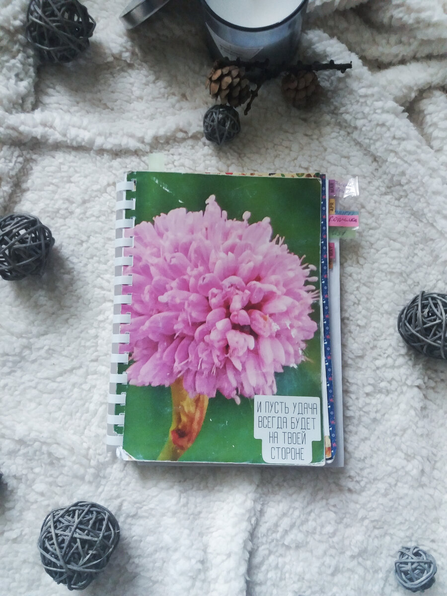 Мой ежедневник. Фото из личного архива