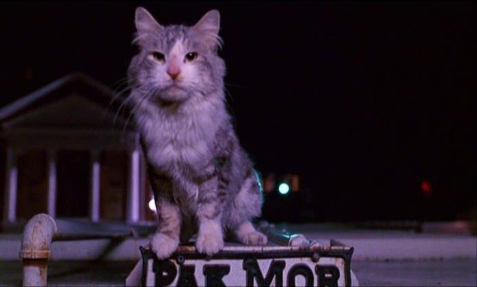 Кадр из фильма «Этот ужасный кот» (1997)