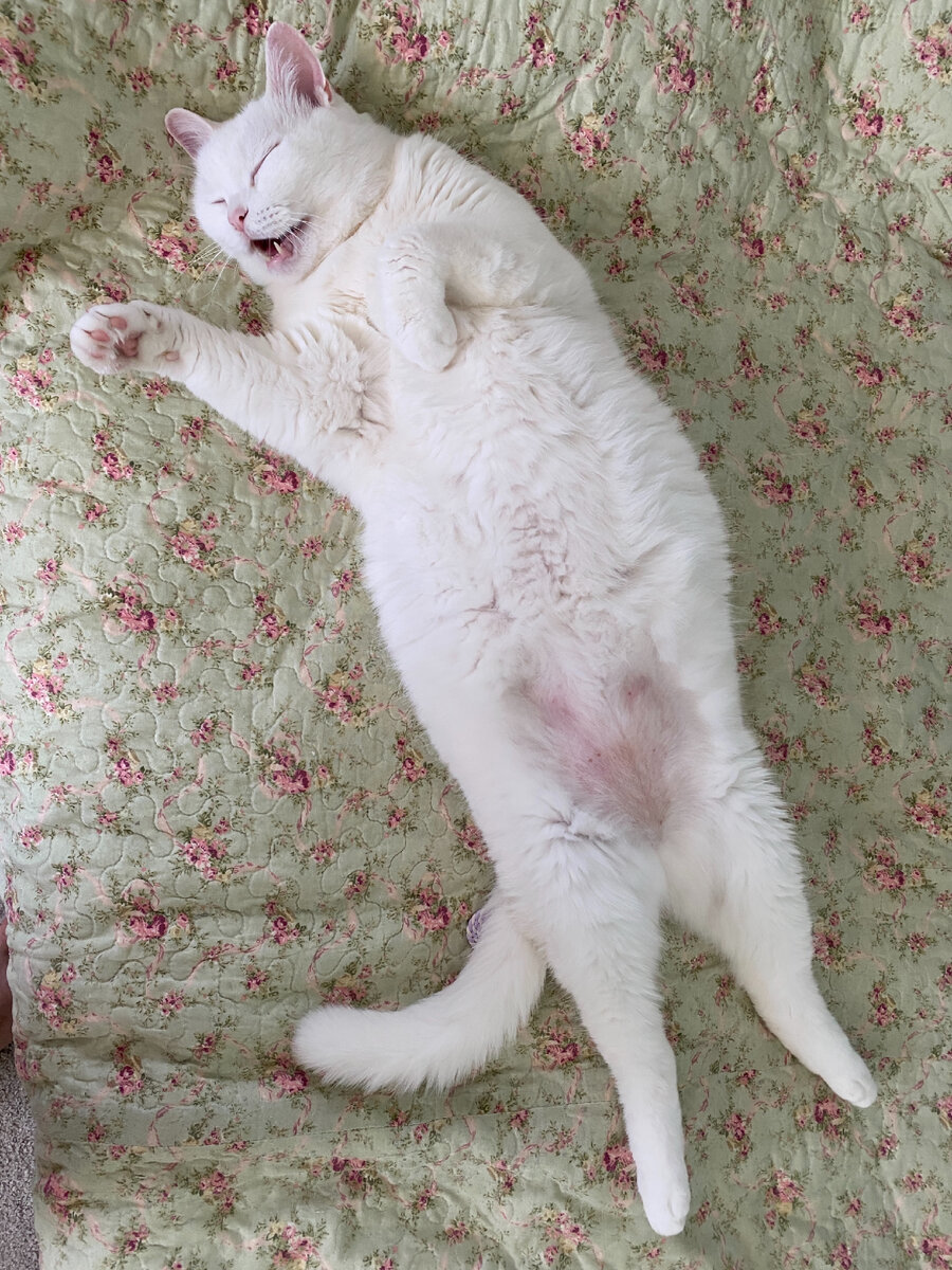 Эта история обо мне )