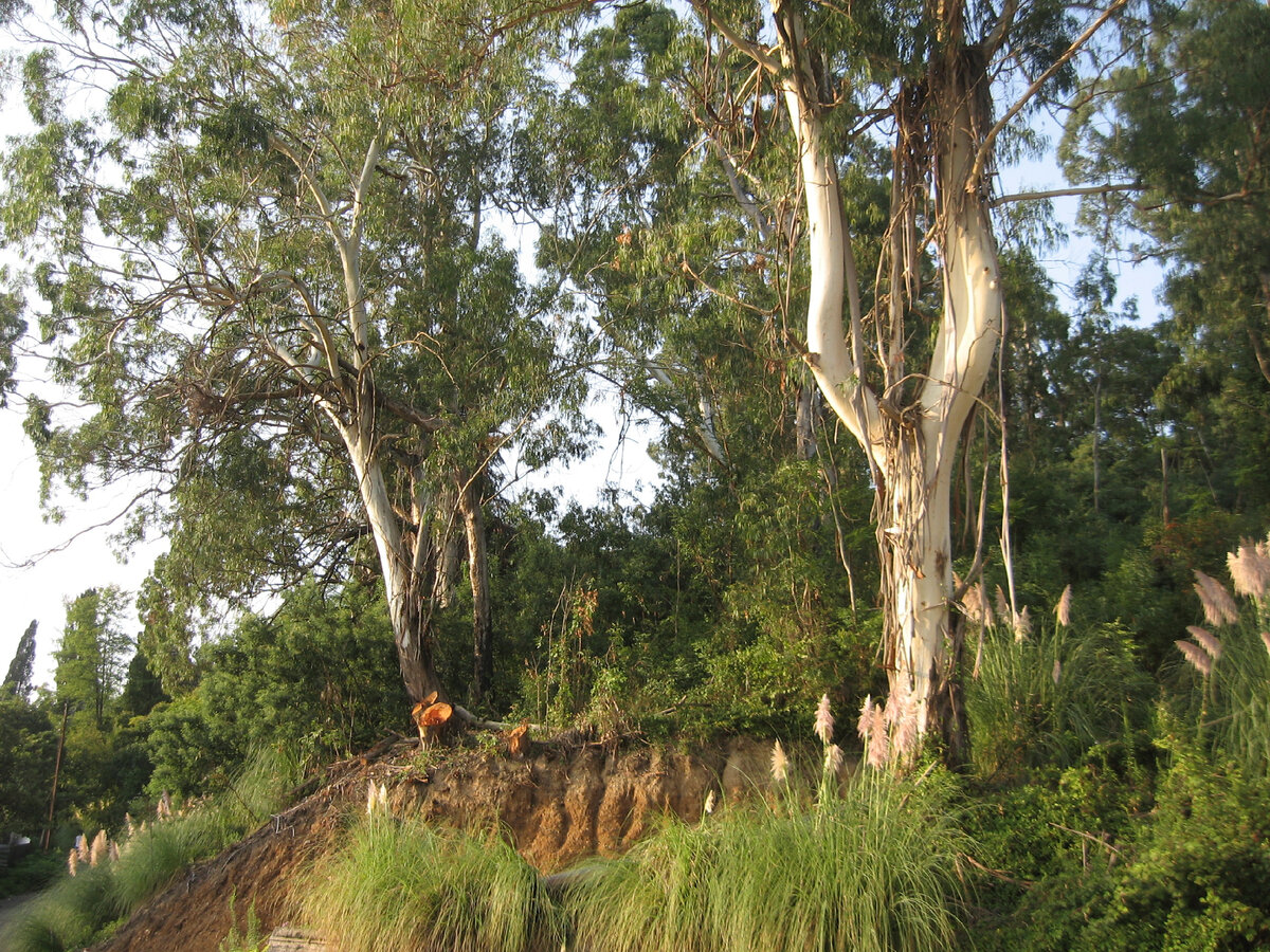 Личное фото автора статьи на смотровой площадке в Сухуме