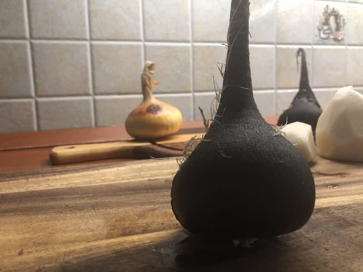 Редька черная круглая