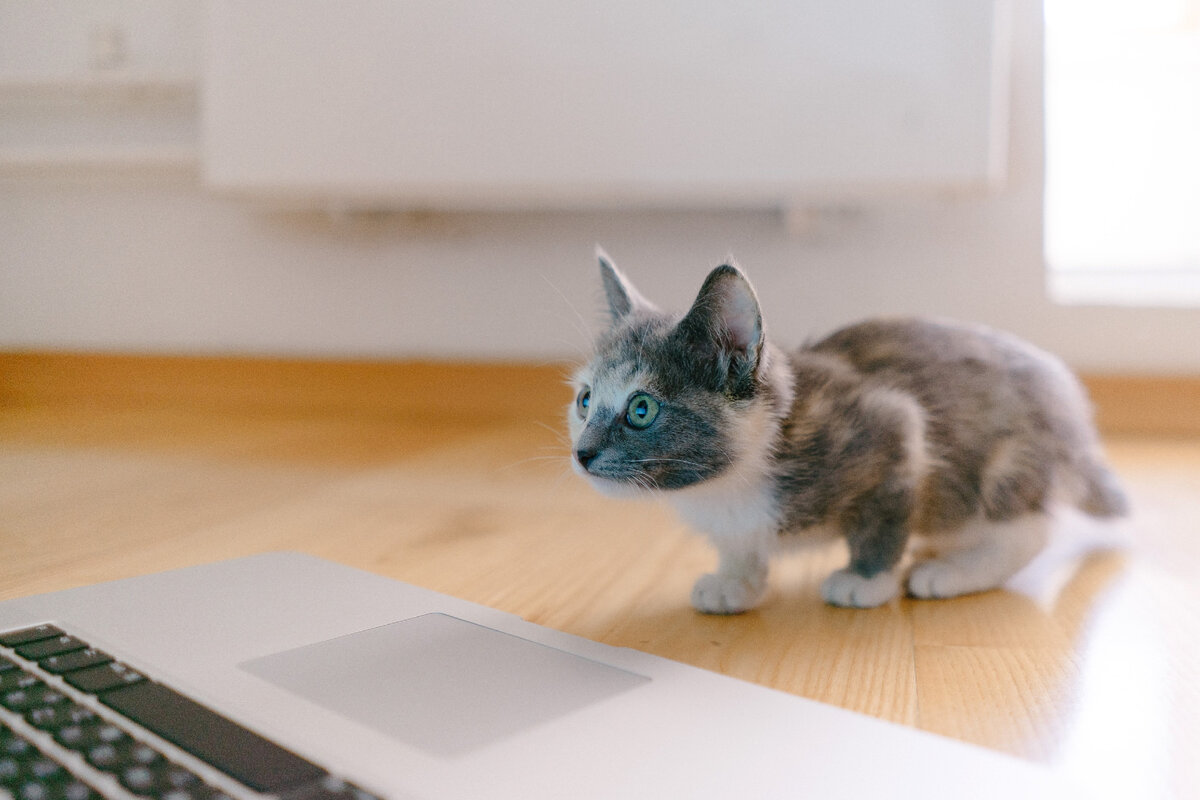 Фото из интернета.