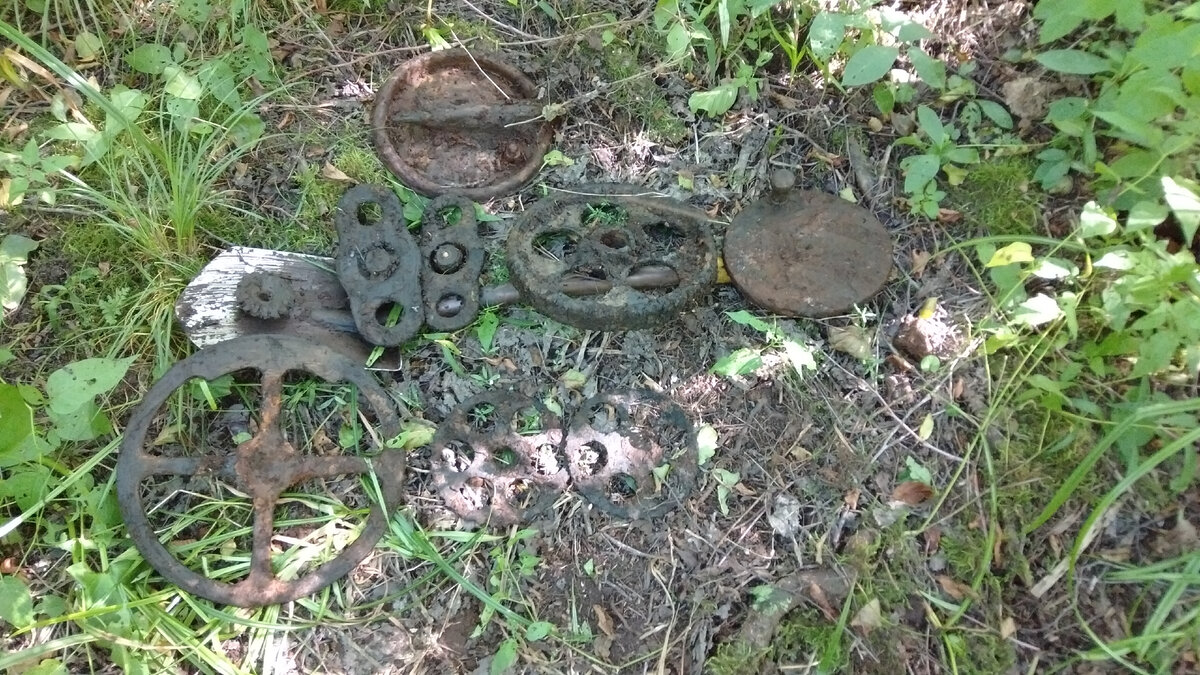 Петергофские находки.