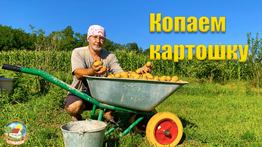 #248 Начали копать картошку. Надоело отдыхать