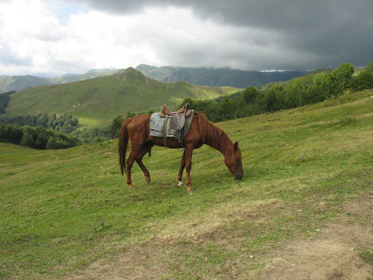 Фото автора статьи в горах Абхазии