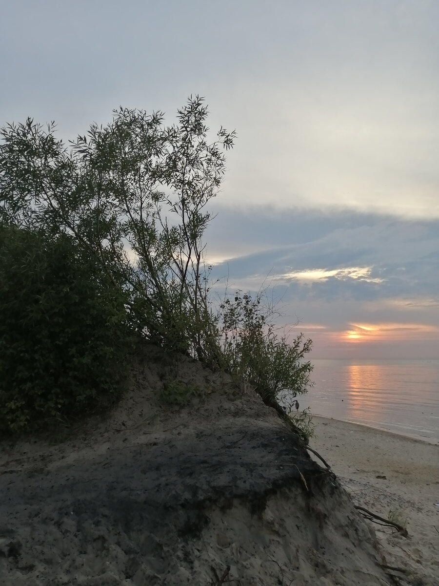 Дюны возле Сокольников