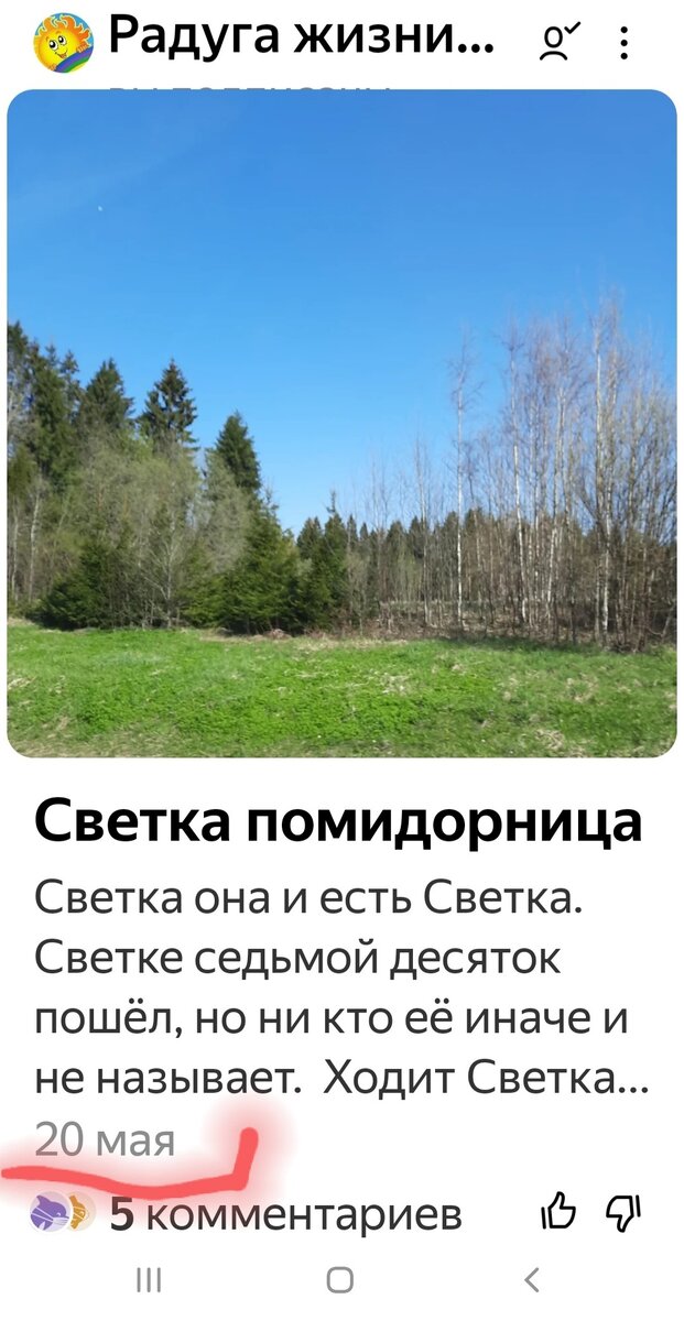 Моя статья⬆️
