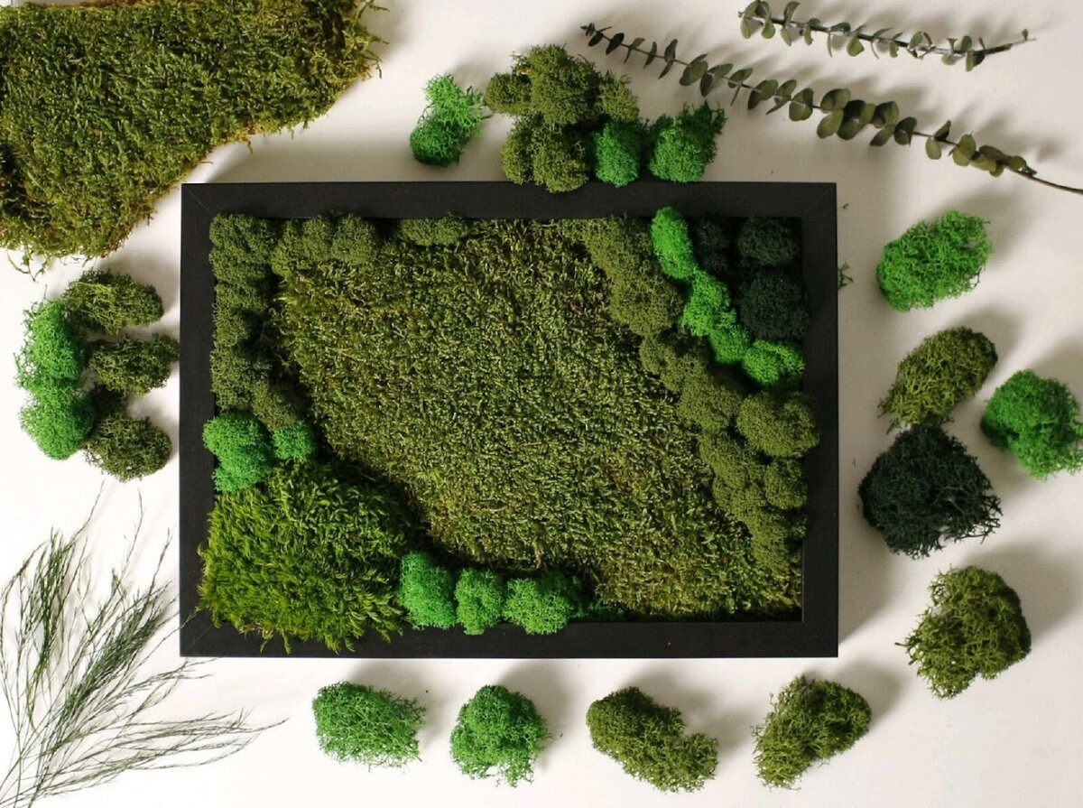 Девять лет любования – не самый маленький срок